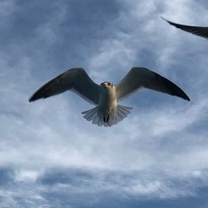 Meet your Posher, Anusha